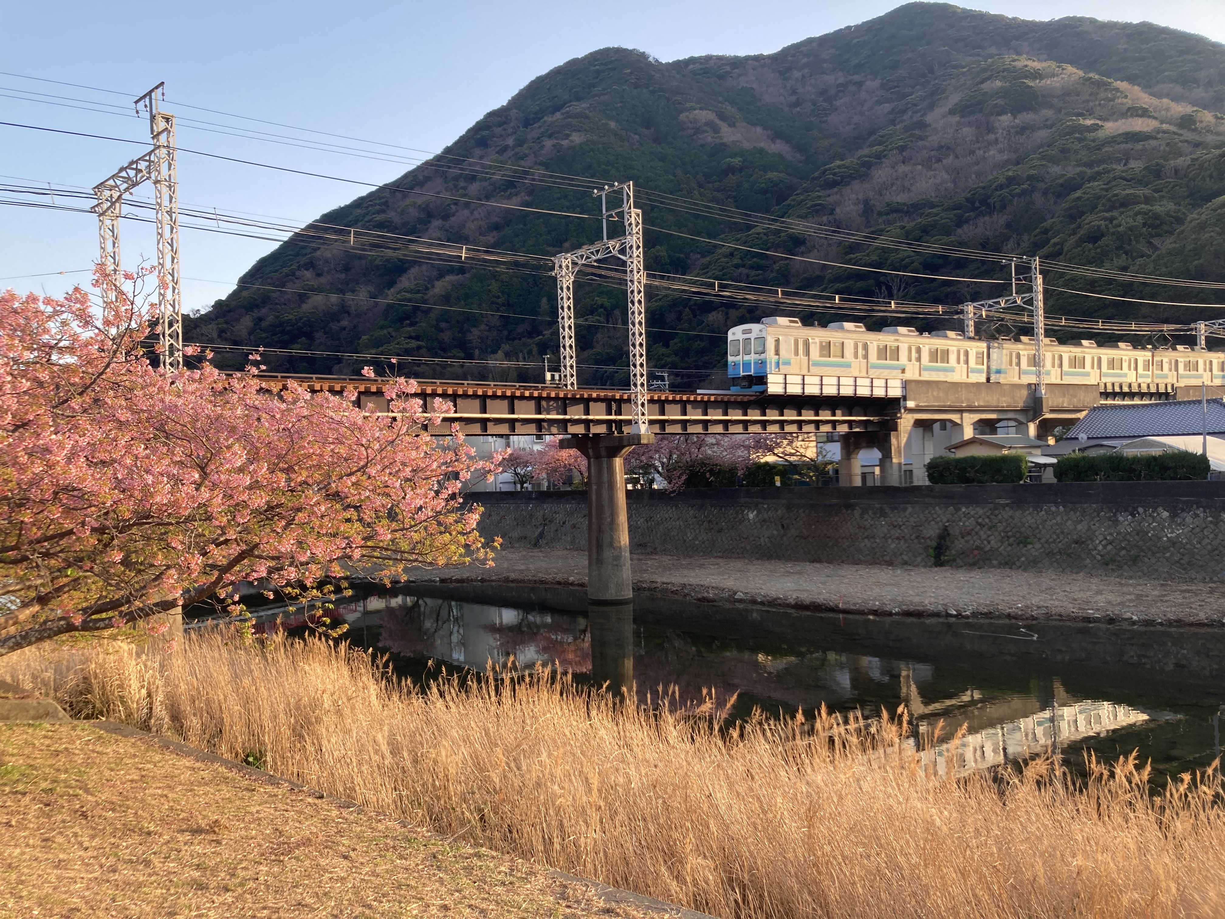 Kawazu