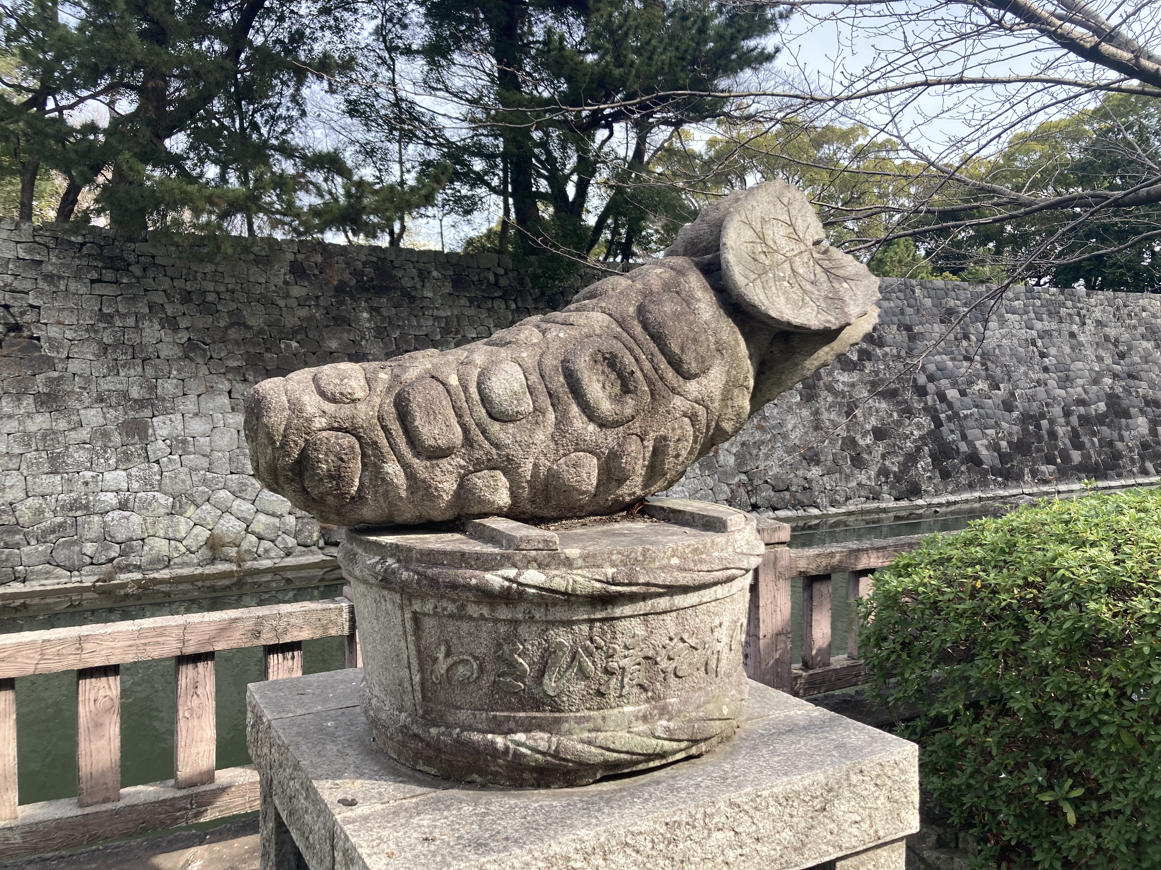 Wasabi